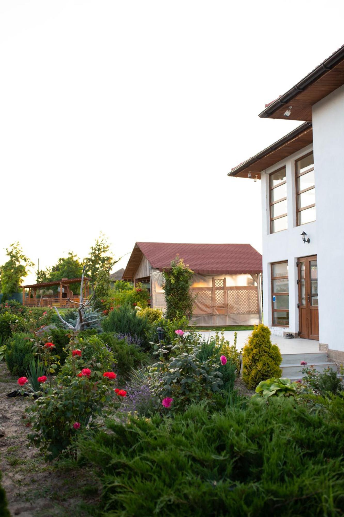 Pensiunea Paradiso Sarinasuf Exterior photo